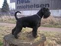 Bild 364